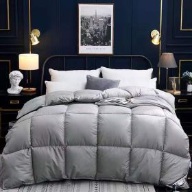 Down Duvet, Winter Duvet, Goose Down Duvet Core, Air Conditioner (Option: Grey-180x220cm-6)